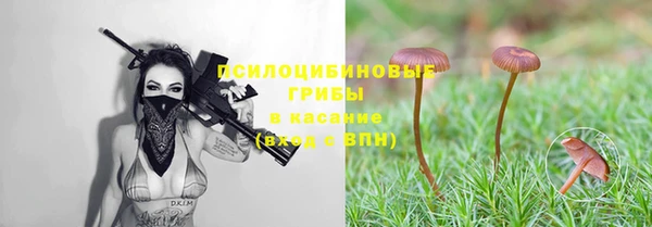 гашишное масло Новодвинск