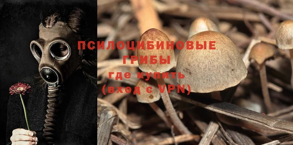 гашишное масло Новодвинск