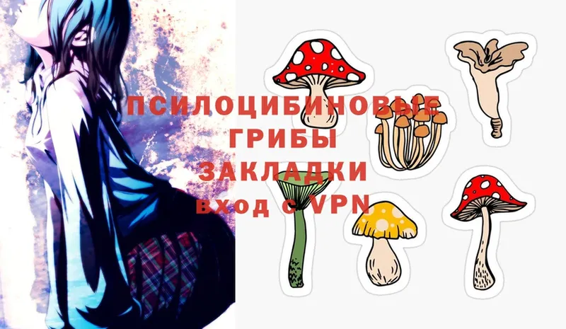 Галлюциногенные грибы MAGIC MUSHROOMS Красный Сулин