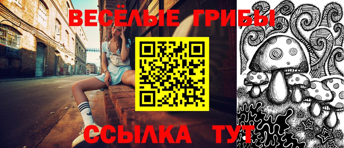Галлюциногенные грибы мухоморы Красный Сулин