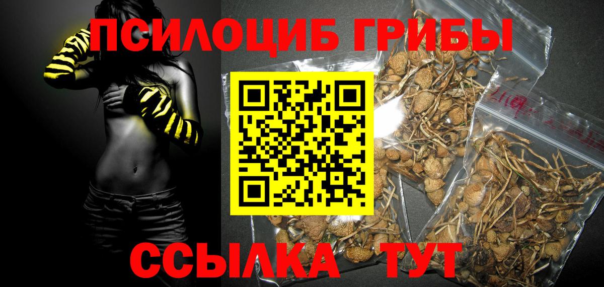 хочу наркоту  Галлюциногенные грибы Psilocybe  Красный Сулин  Вход с VPN  Псилоцибиновые грибы мухоморы 