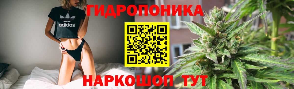 Шишки марихуана индика  Марихуана план  Каннабис Amnesia  Красный Сулин 